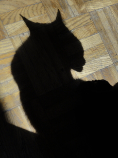 20100718 160535
